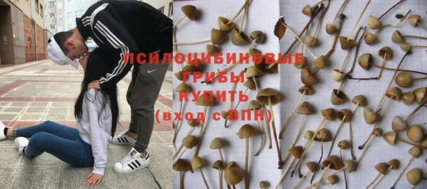 спайс Ладушкин