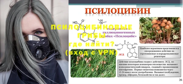 спайс Ладушкин