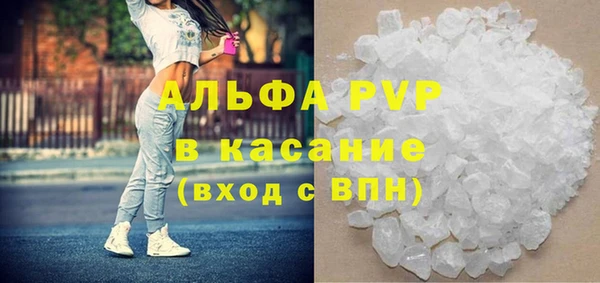 спайс Ладушкин