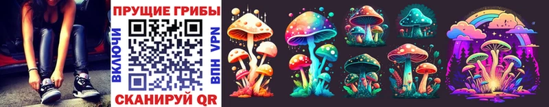 Купить закладки  Устюжна  Псилоцибиновые грибы Cubensis 