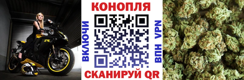 Купить закладки  Устюжна  Бошки марихуана гибрид 